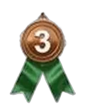 Rank 3 medal